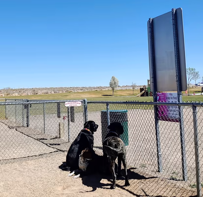 Rio Rancho Sports Complex and Dog Park photo 1